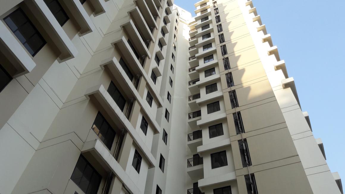 Nirmal City Kalyan Cypress B