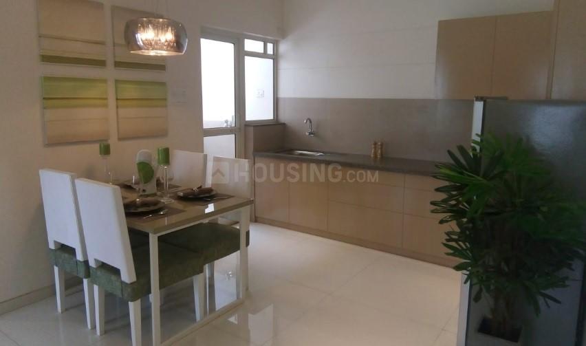 Rohan Ananta Phase II