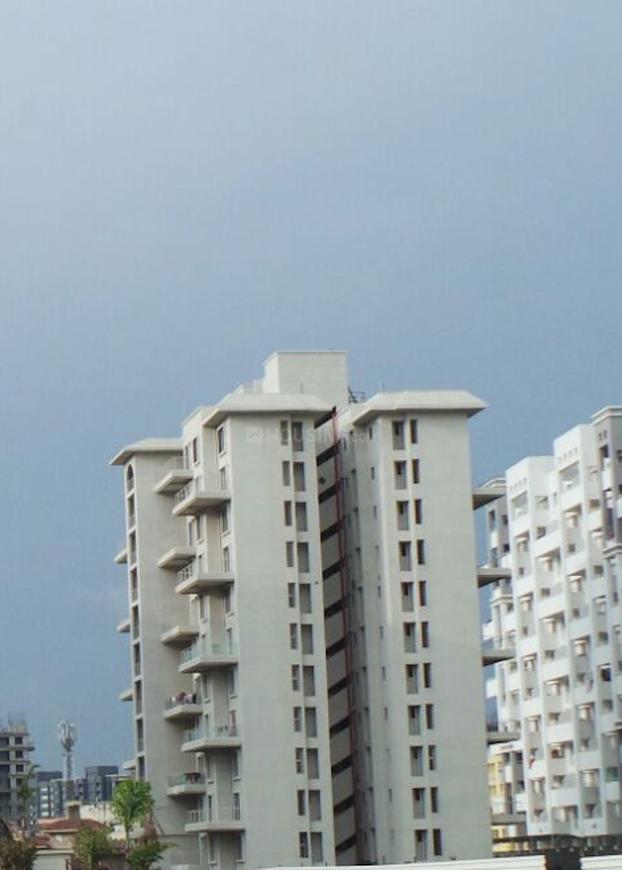 Alcon Silverleaf